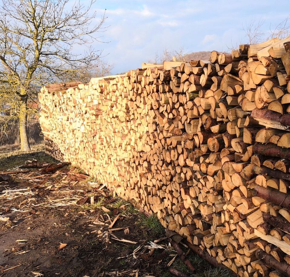 Brennholz Kaminholz Feuerholz Fichte Kiefer Weichholz in Oberscheinfeld