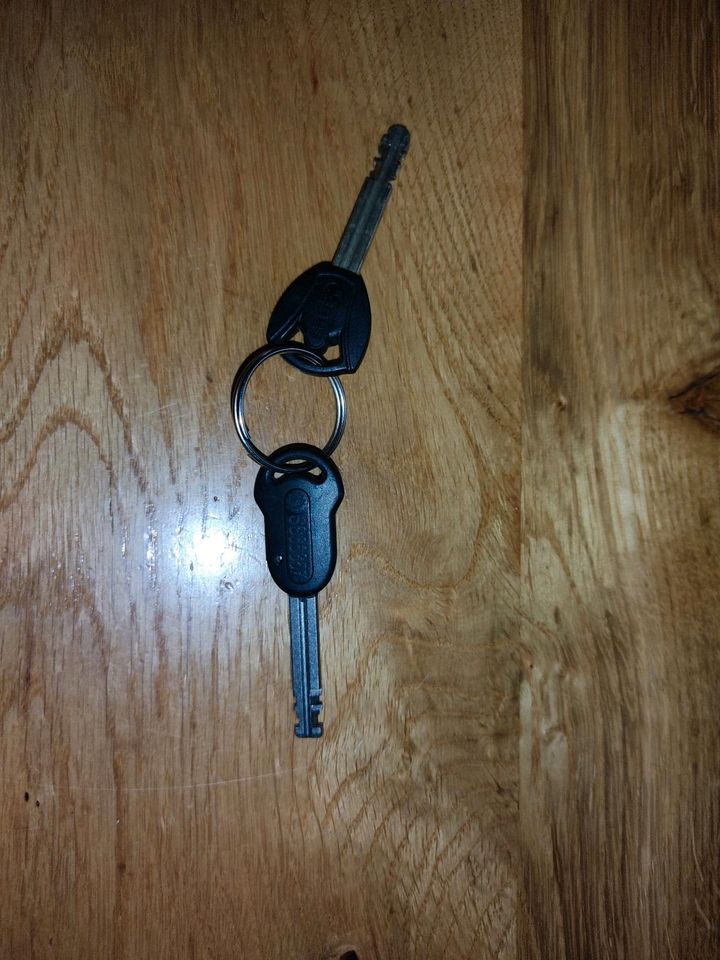 2 schwarze kleine Schlüssel auf Parkplatz gefunden Nähe Seeg in Seeg