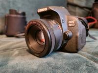 Canon Eos 700d mit zwei Objektive 50mm Nordrhein-Westfalen - Hellenthal Vorschau