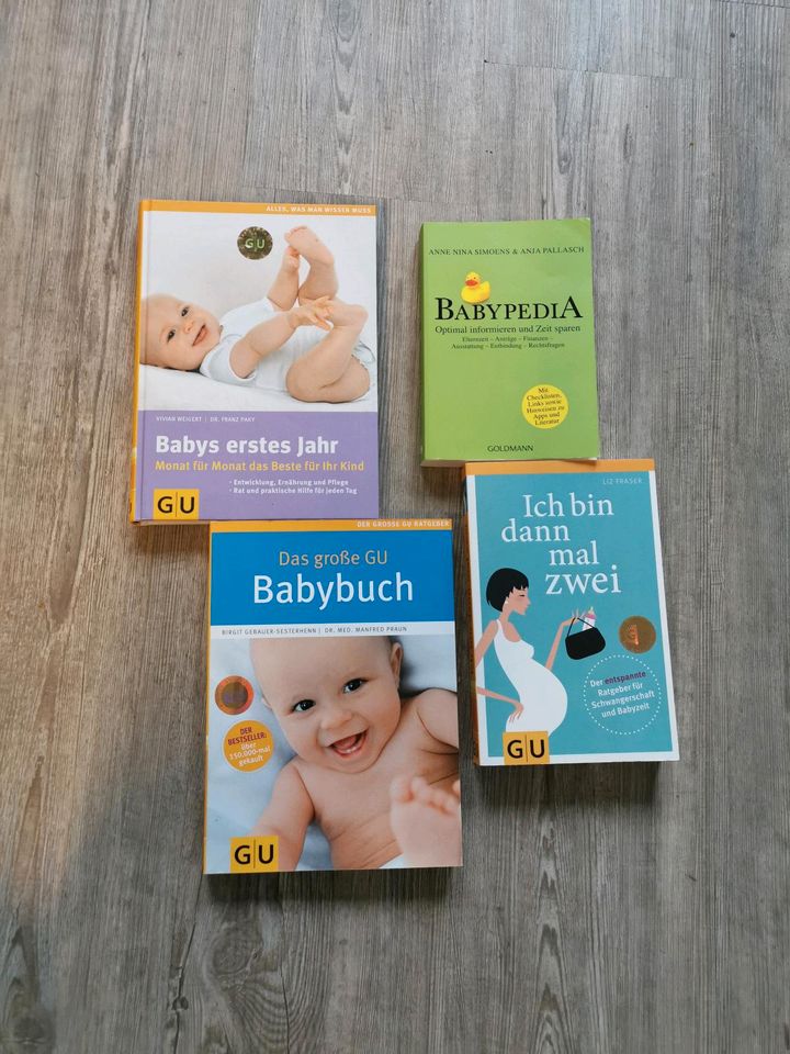 Bücher Schwangerschaft Geburt 1.Jahr in Bischofferode