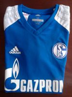 Schalke 04 Trikot der Knappen-Fussballschule, Größe 152, Top! Rheinland-Pfalz - Kirn Vorschau