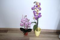 2 Kunstorchideen, künstliche Orchidee, Kunstblumen im Topf Berlin - Tempelhof Vorschau