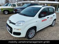 Fiat Panda Easy 8-Fach-Bereift USB AUX Niedersachsen - Lilienthal Vorschau