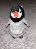 Hasbro FurReal Friends Baby newborn Pinguin wie neu Nordrhein-Westfalen - Telgte Vorschau