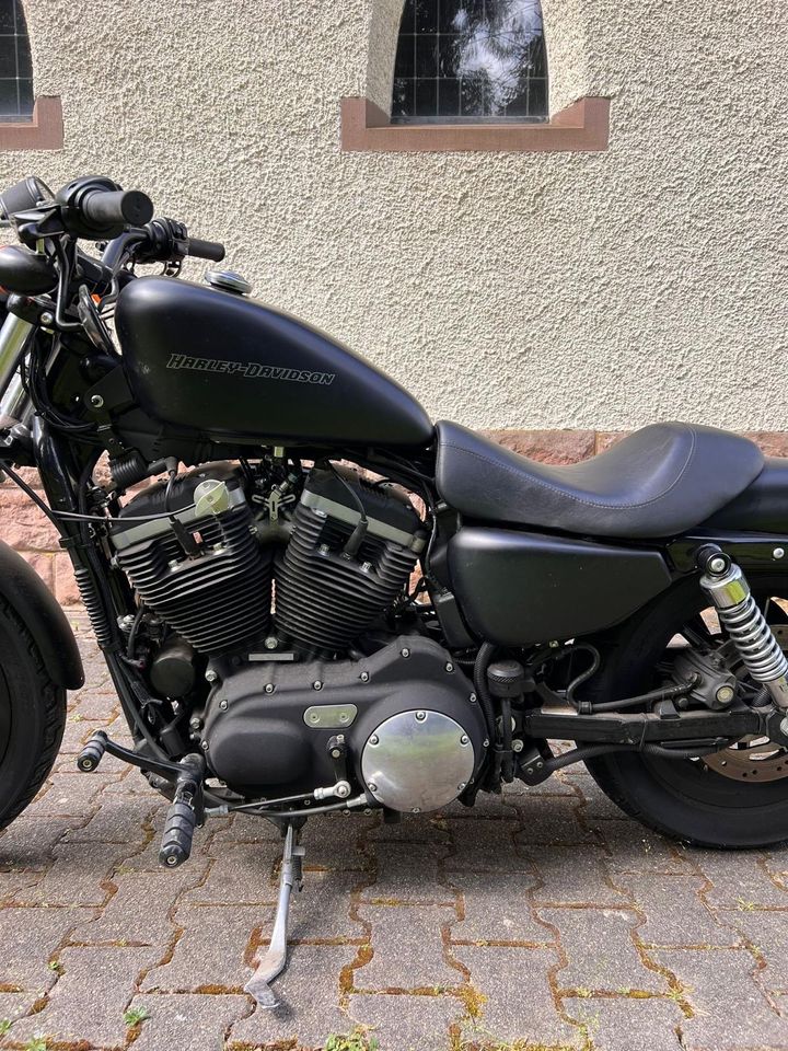 Harley-Davidson Iron XL883N in Waldmohr