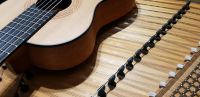 Musikunterricht Hackbrett, Gitarre Bayern - Betzigau Vorschau