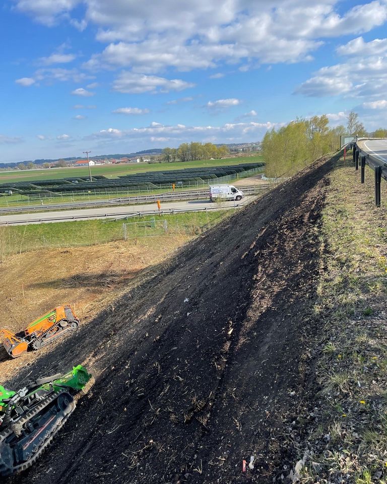 Forstmulchen Förderfähig Rodungen in Mengkofen