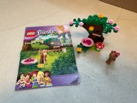 LEGO Friends 41023 Rehkitz im Wald Nordrhein-Westfalen - Moers Vorschau