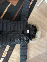 Tommy Jeans Jacke abzugeben ❤️ Sachsen-Anhalt - Halle Vorschau