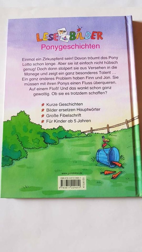 LESEBILDER - Ponygeschichten - Christine Raudies - godolino in Schierling