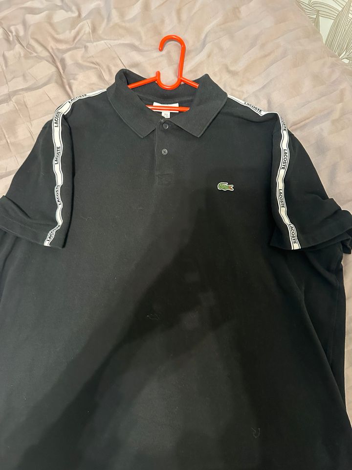 Lacoste Polo (XXL) in Dortmund