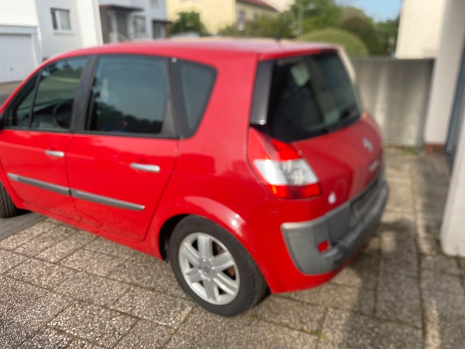 Renault scenic 1.9 in Frankfurt am Main