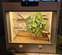 2 x Kunststoffterrarium 50 cube mit Steuerung/Heizung/Beleuchtung Baden-Württemberg - Wyhl Vorschau