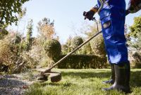 Gartenpflege, Rasen mähen, Hecken schneiden in Cham Bayern - Cham Vorschau