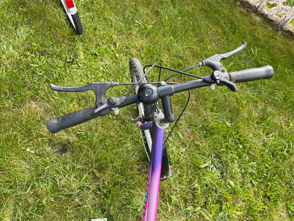 Damenrad Fahrrad Pink Lila gebraucht mit Schloss Clipper in Ronshausen