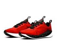 Nike Jordan Zoom Trunner Advance  Gr:41 Niedersachsen - Bad Pyrmont Vorschau