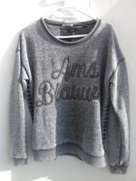 Scotch & Soda Sweater grau bestickt Gr. 2 Kr. Passau - Passau Vorschau