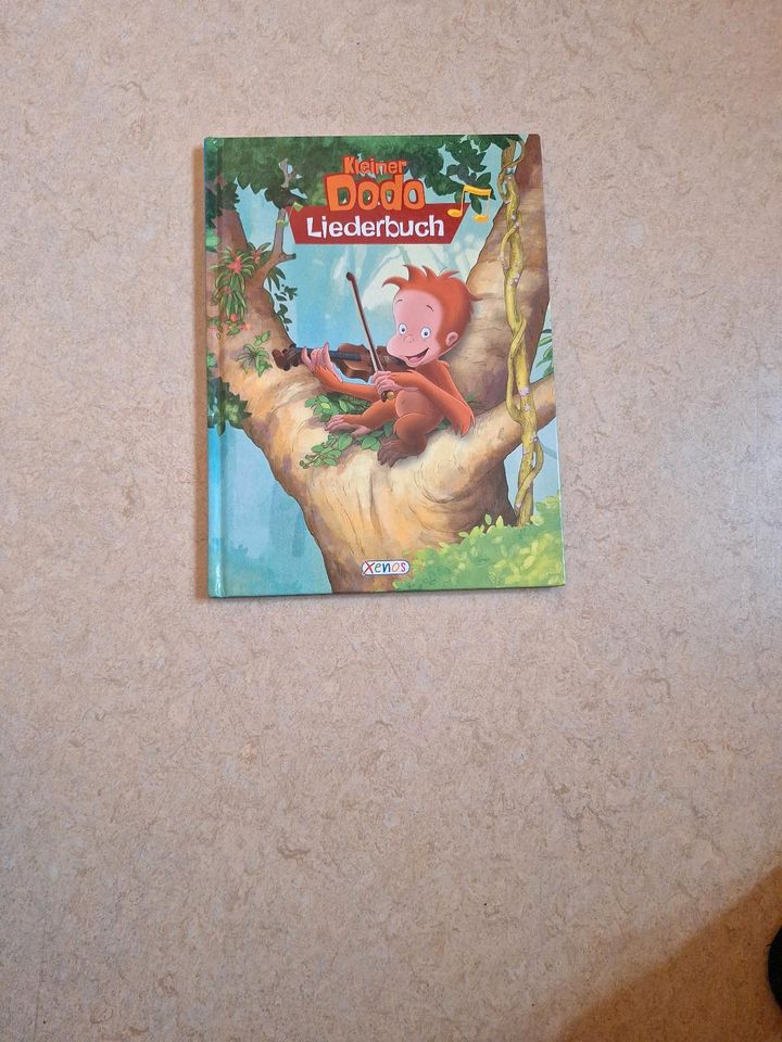 Kleiner dodo Liederbuch Kinder Buch in Buchloe