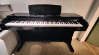 E Piano: Classic DP50 Digital Piano Brandenburg - Wandlitz Vorschau