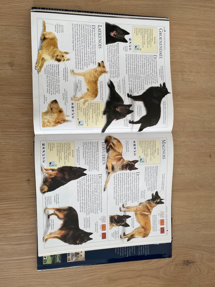 Hunde Enzyklopädie in Leingarten