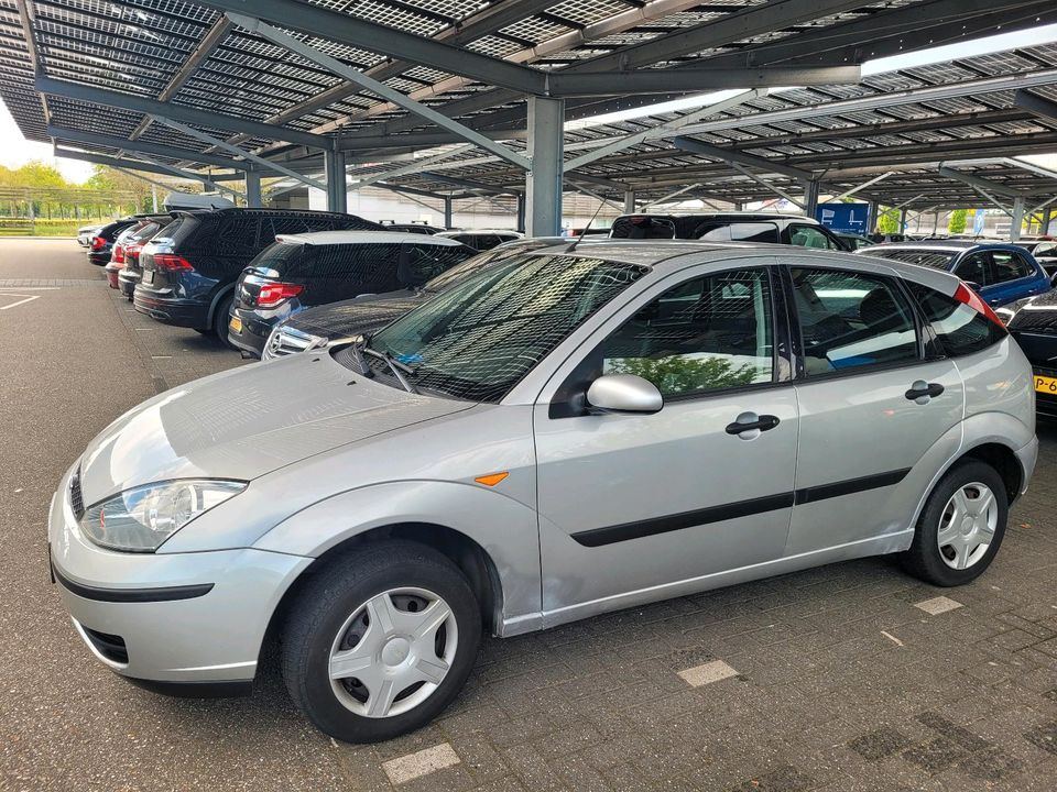 Ford Focus 1,6 in Steinfurt