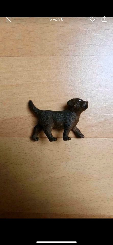 Schleich Hund Katze Welpe Schöferhund in Dortmund