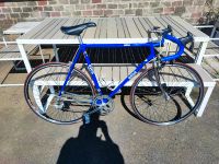 Rennrad Gios Torino Campagnolo Record RH 58 Nordrhein-Westfalen - Medebach Vorschau