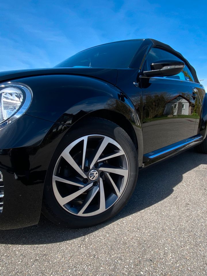 Volkswagen Beetle 1.2 TSI BMT SOUND Cabriolet in Schemmerhofen