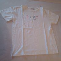 T-Shirt Shirt Damen Esprit L Rheinland-Pfalz - Alsheim Vorschau