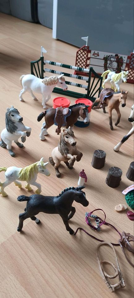 Schleich Pferde in Borsdorf