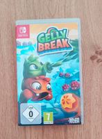 Gelly Break Spiel für Nintendo Swich Baden-Württemberg - Baltmannsweiler Vorschau