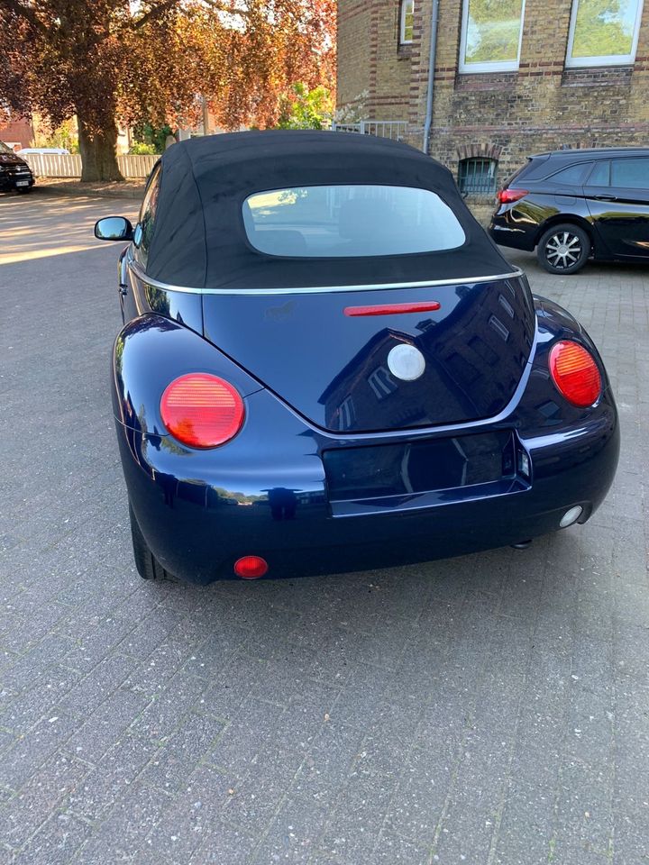 VW Bettle Cabrio in Gettorf