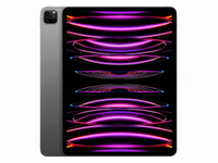 IPad Pro 4 Generation 2022 11 Zoll 256GB  Wi-Fi Black 749€ Hannover - Mitte Vorschau