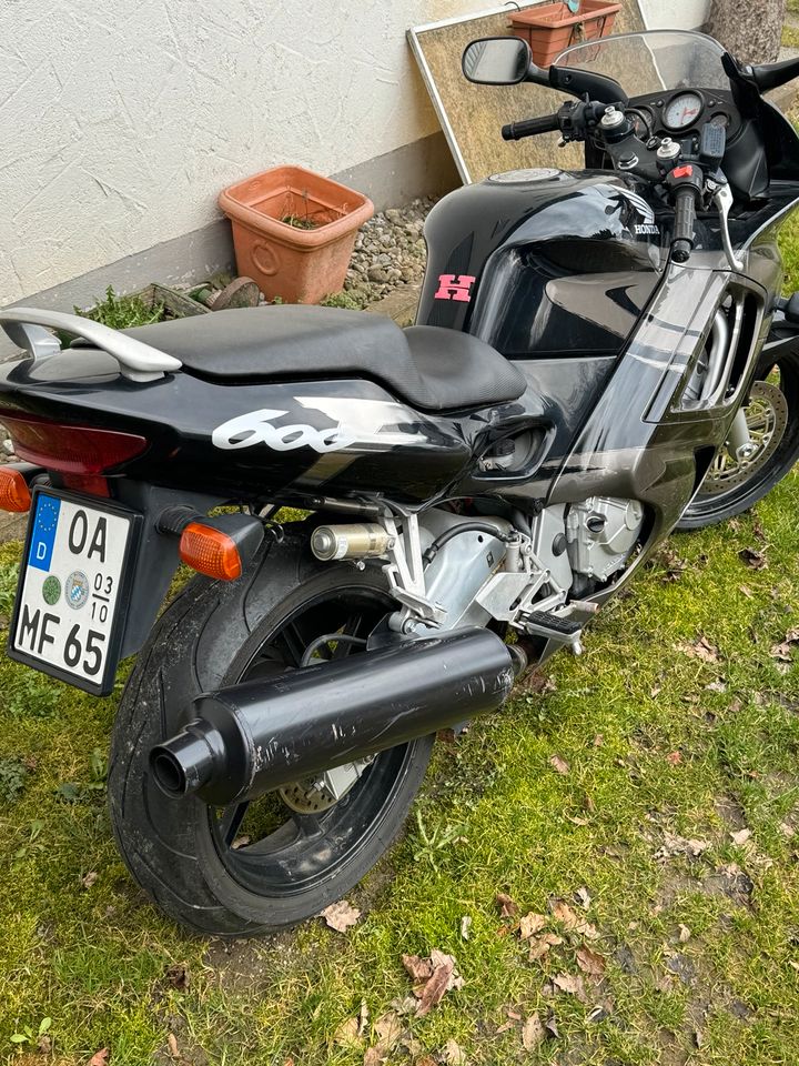 Honda CBR 600 in Lauben