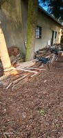 Brennholz Zu Verschenken  Holz Nordrhein-Westfalen - Bad Oeynhausen Vorschau