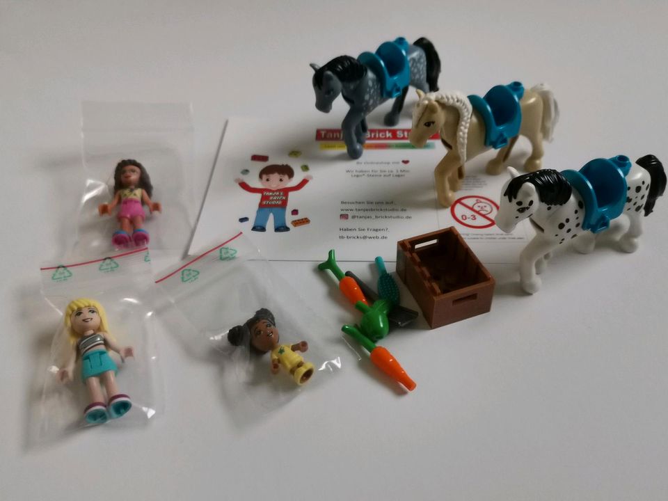 Lego NEU friends Pferde Sets Reiterhof ab 15€ in Bad Bramstedt