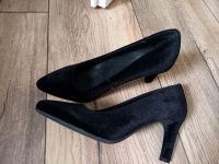 Neue Samt Pumps/ High Heels Gr. 39 schwarz Brandenburg - Brandenburg an der Havel Vorschau