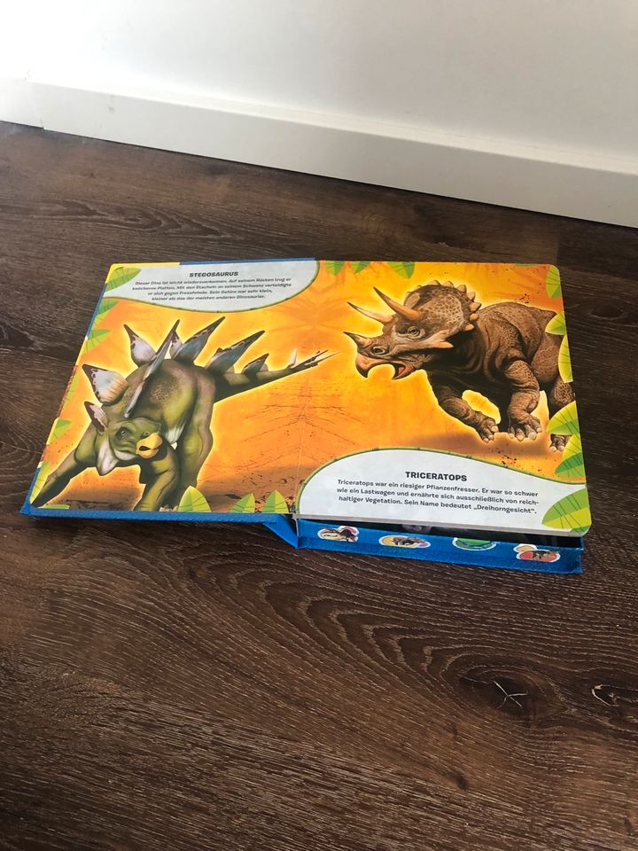 Dino Spielbuch in Wolpertswende