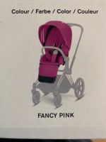 Neu - Cybex Priam 3.0 Seat Pack - Fancy Pink Bayern - Wolfersdorf Vorschau