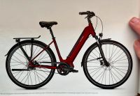 Raleigh Sheffield Premium Diamant 2019 - City e-Bike | RH 48/M Rheinland-Pfalz - Weinsheim (Kr Bad Kreuznach) Vorschau