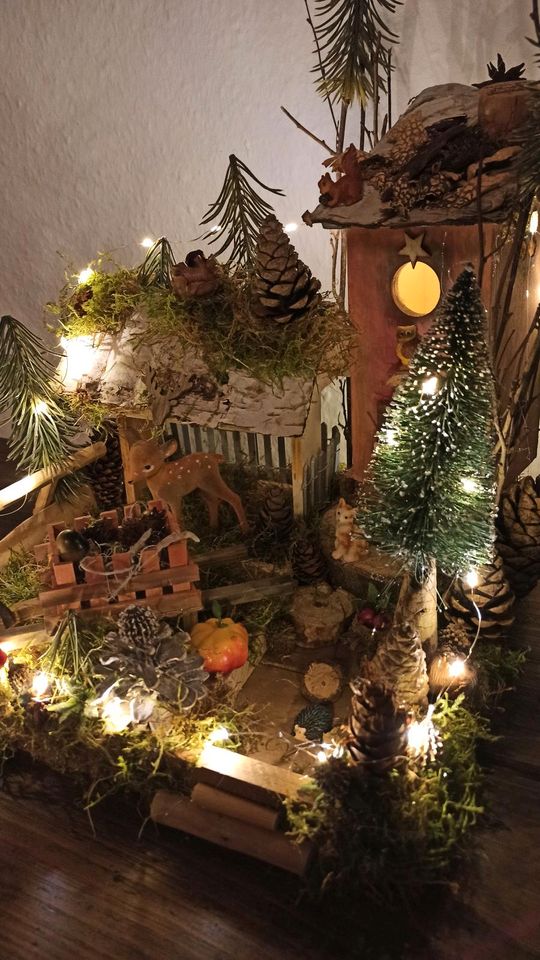 Wichtelhaus Wichteltür Weihnachtsdeko Feenhaus Gnom in Köln