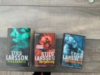 Stieg Larsson 3 Bücher Sachsen-Anhalt - Tangermünde Vorschau