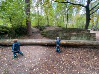 SUCHEN Freizeitgrundstück zum Räubern Nürnberg (Mittelfr) - Mitte Vorschau