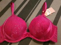 Hunkemöller Push up BH / 85 C Rostock - Gross Klein Vorschau