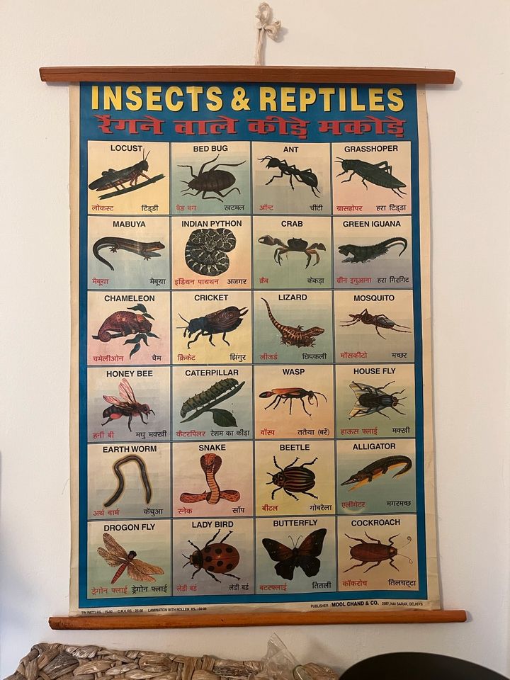 Stoff-Poster „Insects“ in Dortmund