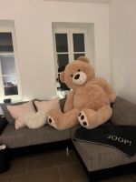 Teddy Bär zu verkaufen XXL Bonn - Lengsdorf Vorschau