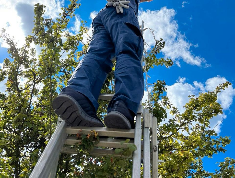 Gartenservice, Heckenschnitt, Rasenpflege in Fredersdorf-Vogelsdorf