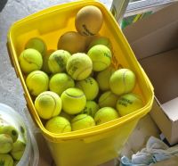 Tennisbälle 60 Stück gebraucht Nordrhein-Westfalen - Werl Vorschau