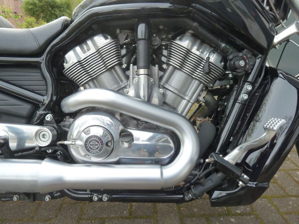 Harley Davidson  V-Rod-Muskel VRSCF in Bokel