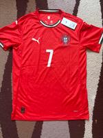 Ronaldo Trikot 2025 Niedersachsen - Hildesheim Vorschau